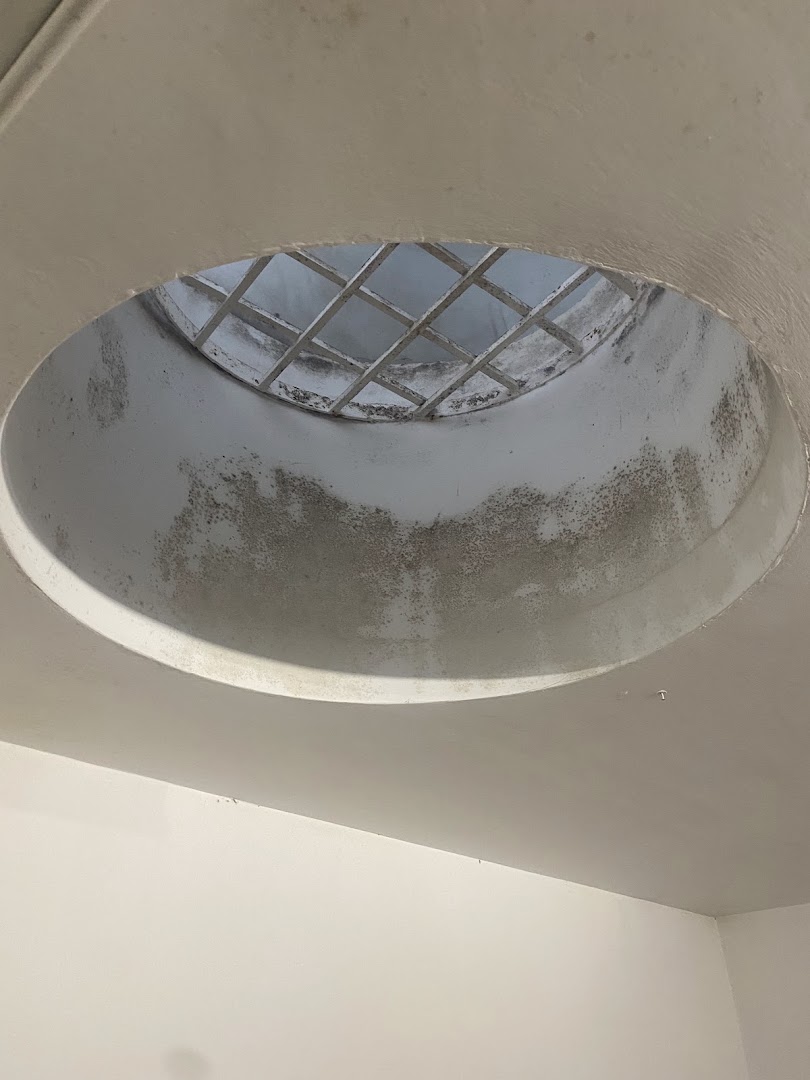 Pittore Edile — Foto 1