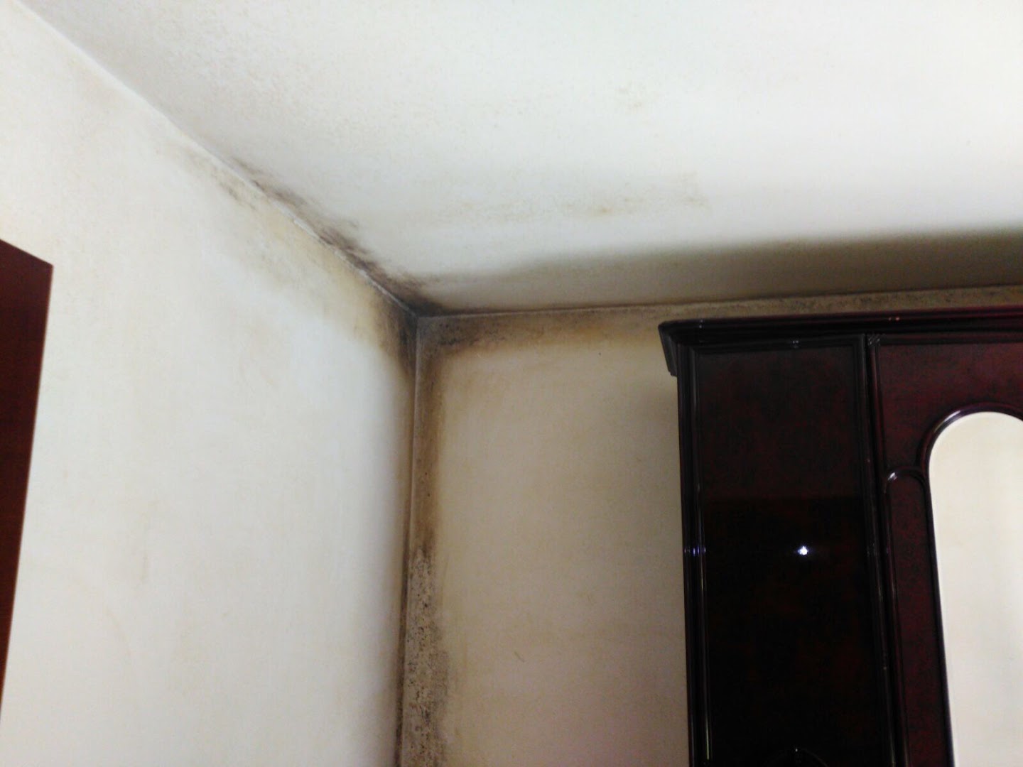 Pittore Edile — Foto 11