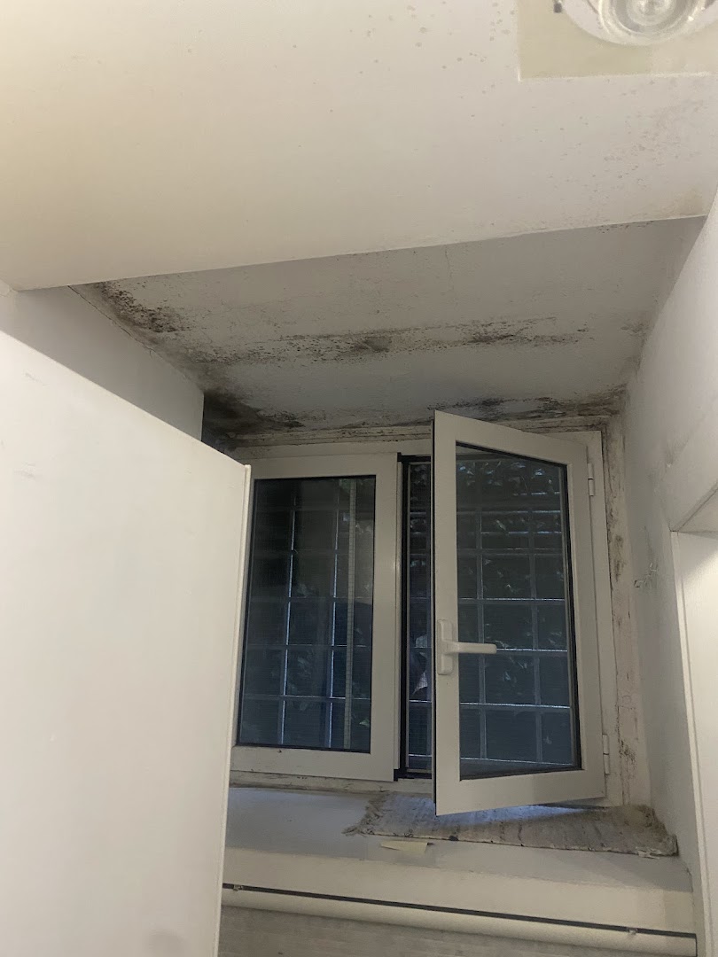 Pittore Edile — Foto 5